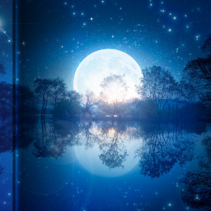 마지막 최면술사